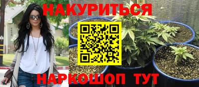 каннабис Аргун
