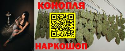 каннабис Аргун