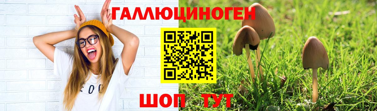 Псилоцибиновые грибы Magic Shrooms Артём